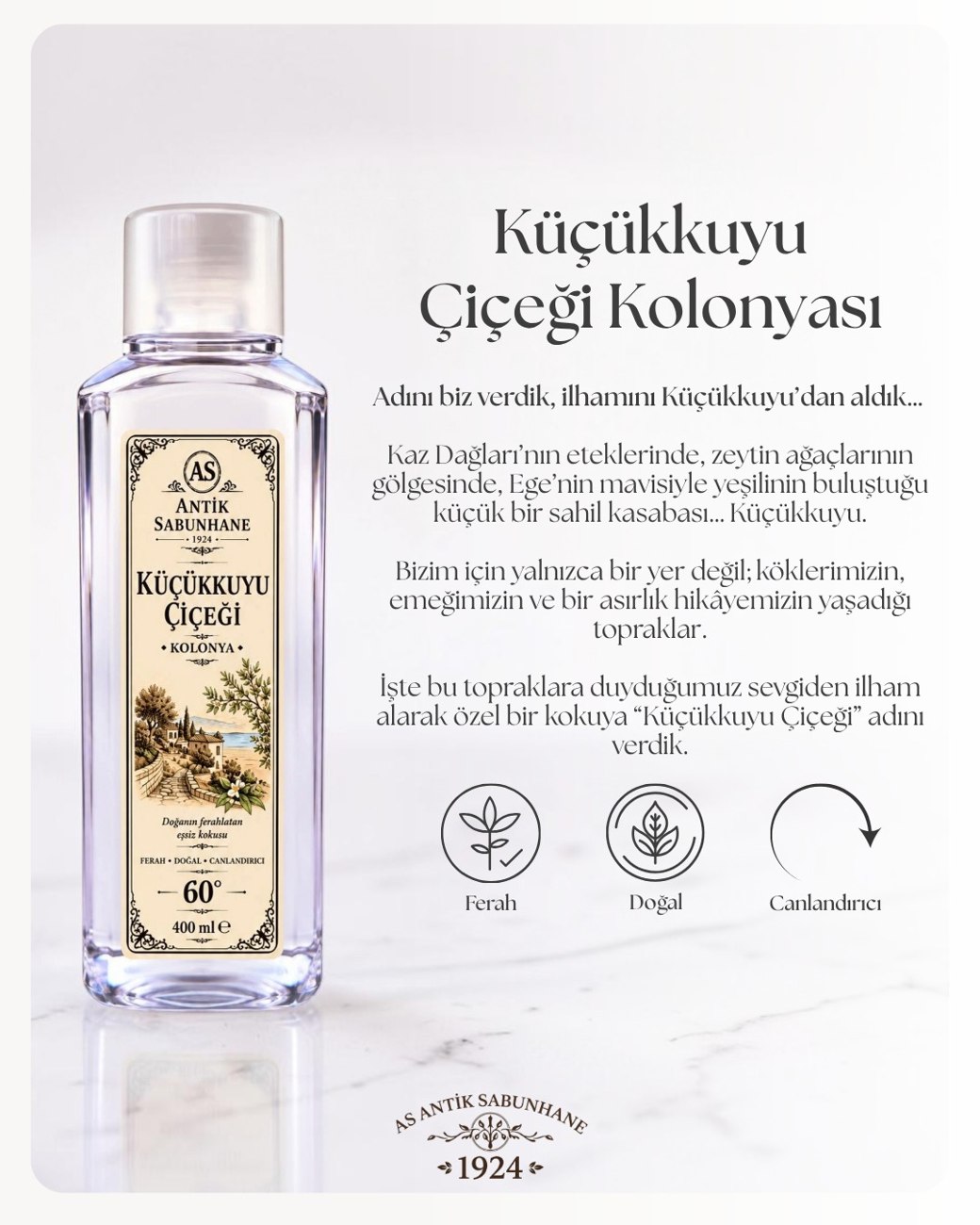Küçükkuyu Çiçeği Kolonyası
