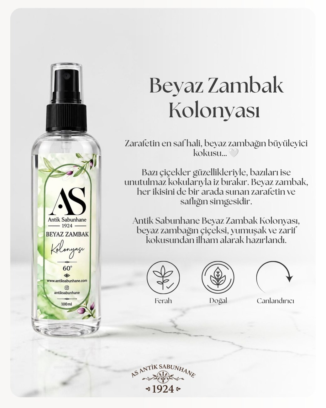 Beyaz Zambak Kolonyası